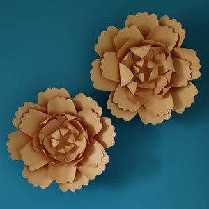 'Ô Fleur Géante' Rosée