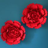 'Ô Fleur Géante' Rosée