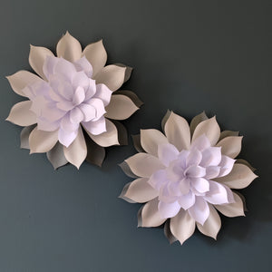 'Ô Fleur Géante' Cosmos